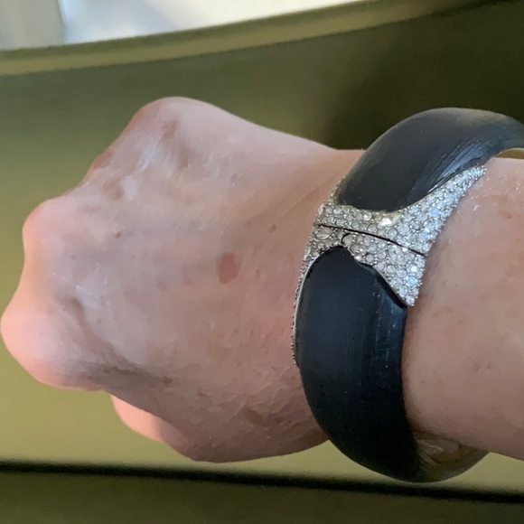 Alexis Bittar Lucite Bracelot - Picture 7 of 10